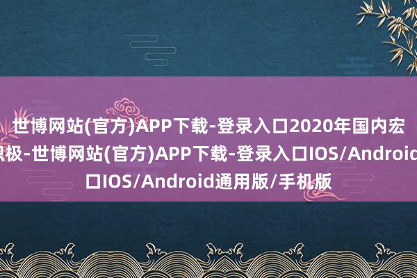 世博网站(官方)APP下载-登录入口2020年国内宏不雅战略定调积极-世博网站(官方)APP下载-登录入口IOS/Android通用版/手机版