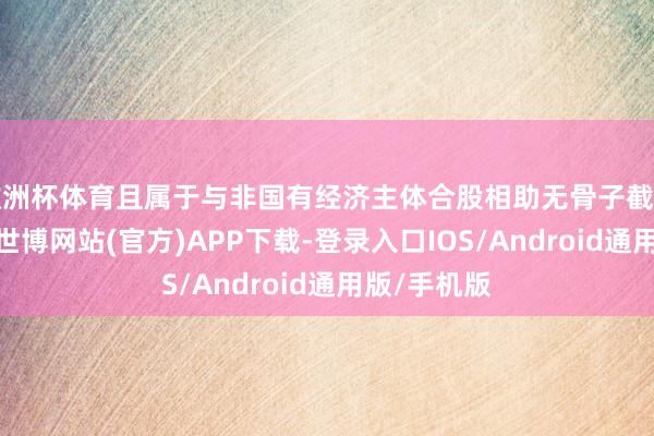 欧洲杯体育且属于与非国有经济主体合股相助无骨子截至权的阵势-世博网站(官方)APP下载-登录入口IOS/Android通用版/手机版