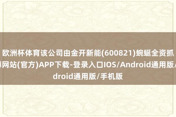 欧洲杯体育该公司由金开新能(600821)蜿蜒全资抓股-世博网站(官方)APP下载-登录入口IOS/Android通用版/手机版