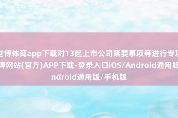 世博体育app下载对13起上市公司紧要事项等进行专项核查-世博网站(官方)APP下载-登录入口IOS/Android通用版/手机版