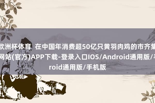 欧洲杯体育  在中国年消费超50亿只黄羽肉鸡的市齐集-世博网站(官方)APP下载-登录入口IOS/Android通用版/手机版