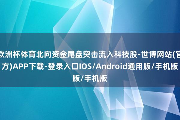 欧洲杯体育北向资金尾盘突击流入科技股-世博网站(官方)APP下载-登录入口IOS/Android通用版/手机版
